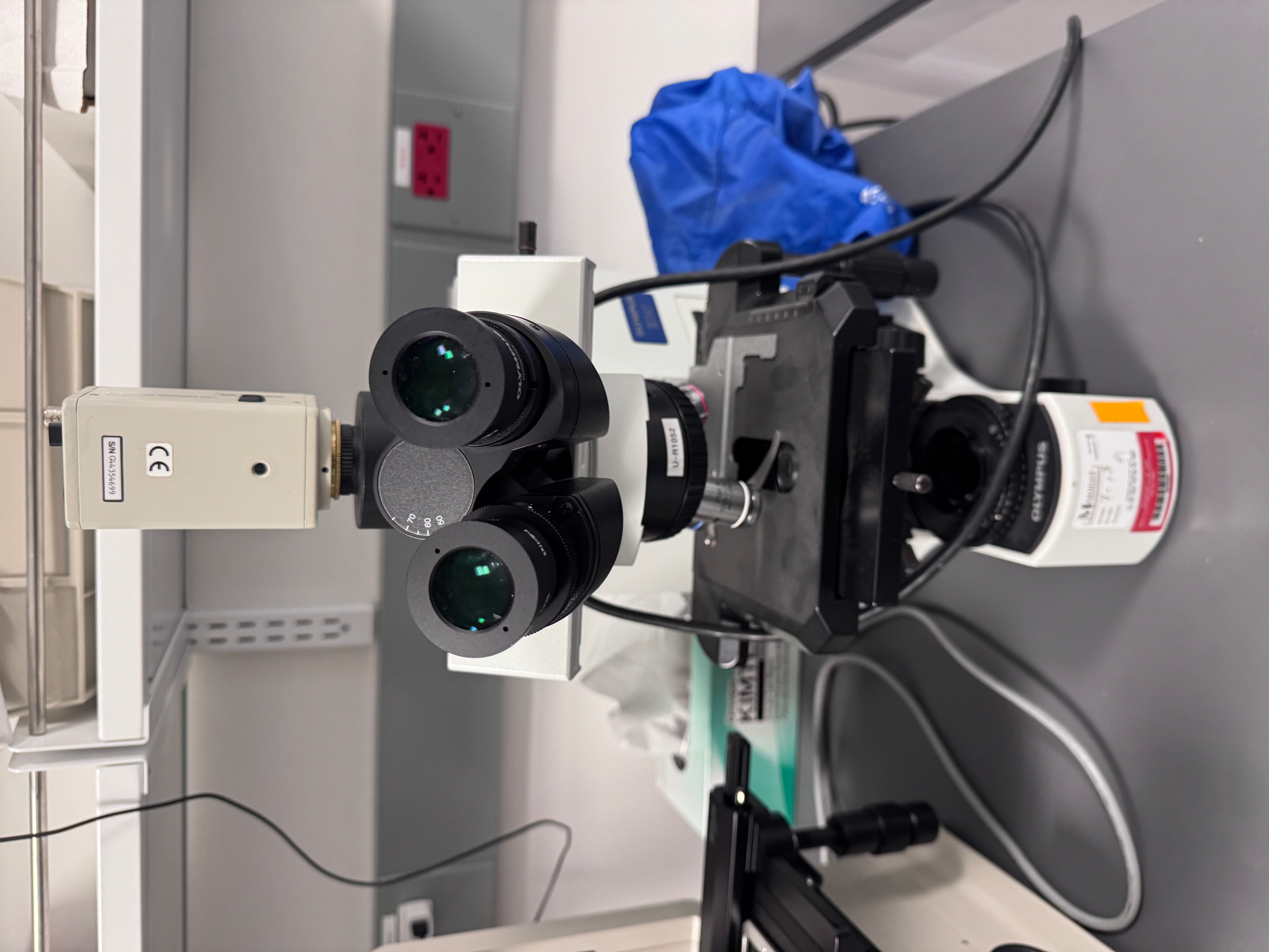 Olympus BX41 Upright Microscope with 4x Objectives