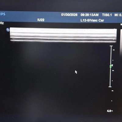 Philips L12-5 IU22/IE33 Linear Transducer