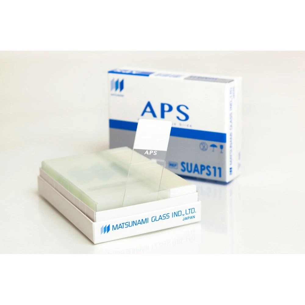 APS Charged Amphiphilic IHC Microscope Slides (Case of 1,000)
