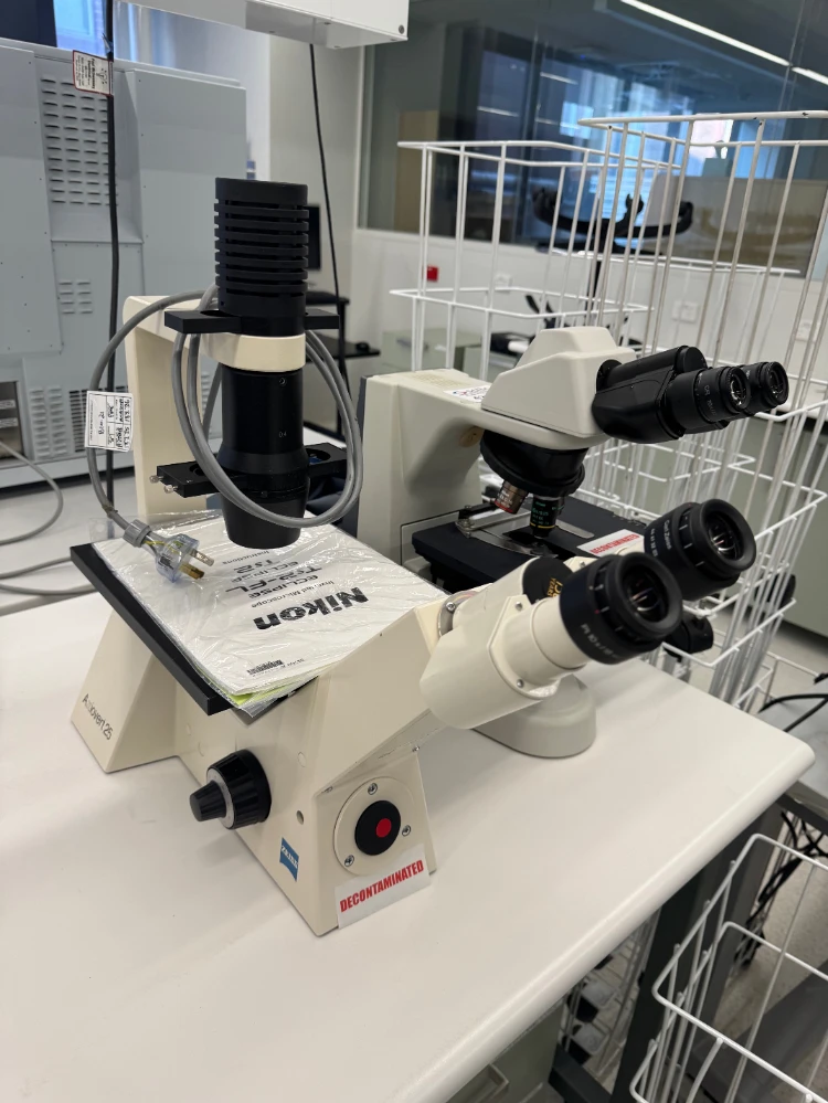 Zeis Inverted Microscope Zeiss Axiovert 25 Inverted Microscope | LabX.com
