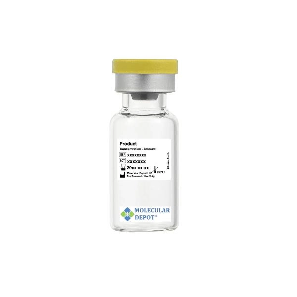 Molecular Depot Rabbit Monoclonal Caspase-8 CASP8 Antibody (Human ...