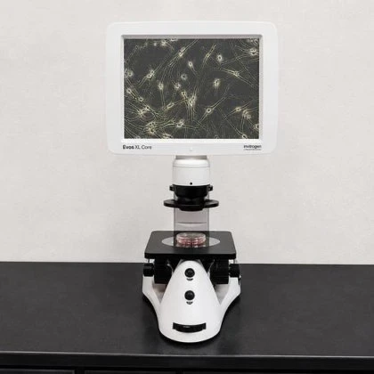 Invitrogen EVOS XL Core Phase Contrast Digital Microscope Inverted