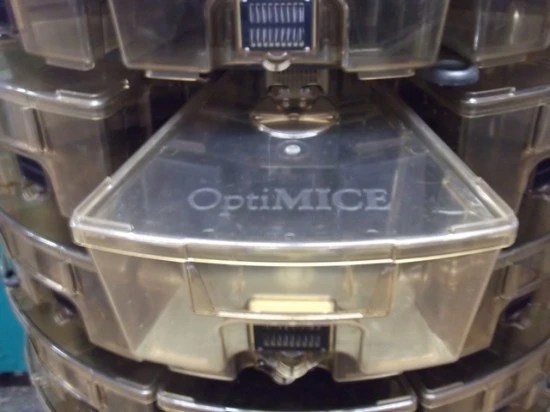 Optimice Rack Tunnel 100 Cage OPTIMICE Vent Rack | LabX.com