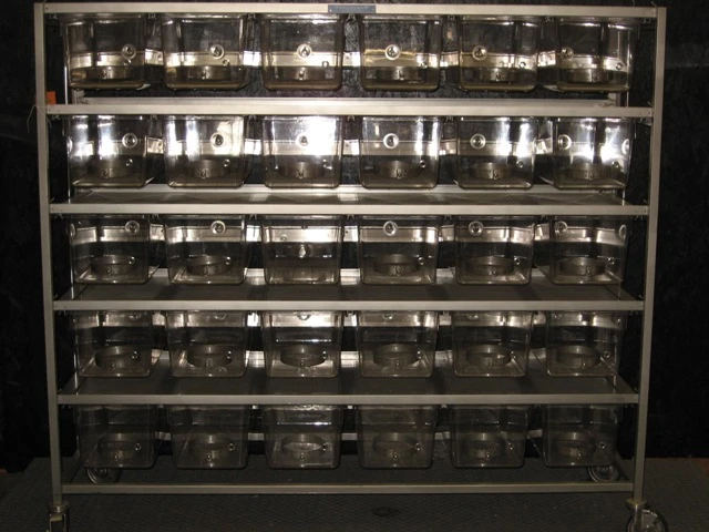30 Cage Rat Rack with Auto Watering | LabX.com