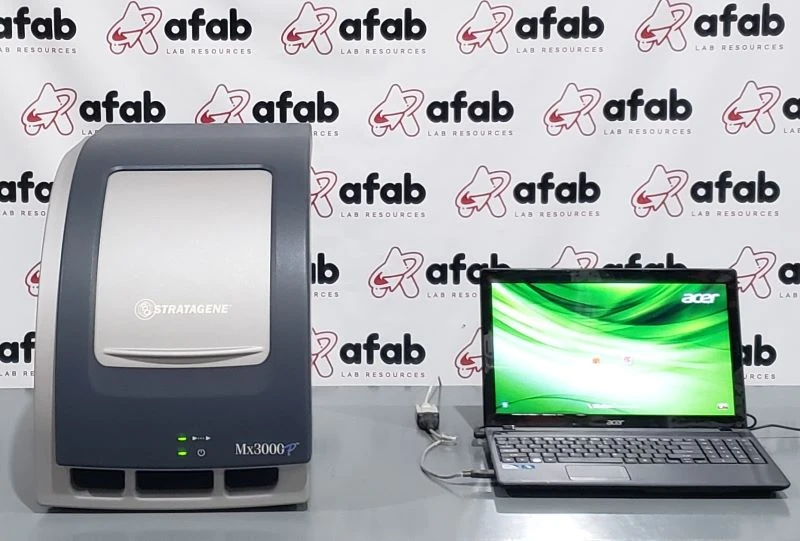 Stratagene Mx3000P Multiplex Quantitative Real-time PCR (qPCR