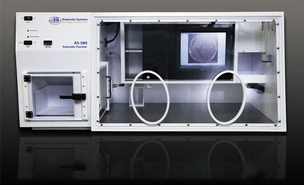 The New AS-580 Gloveless Anaerobic Chamber Increases Productivity