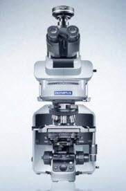 BX53 Upright Microscope