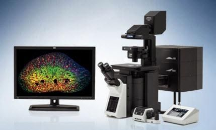 FV3000 Confocal Laser Scanning Microscope
