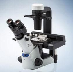 CKX53 Inverted Microscope
