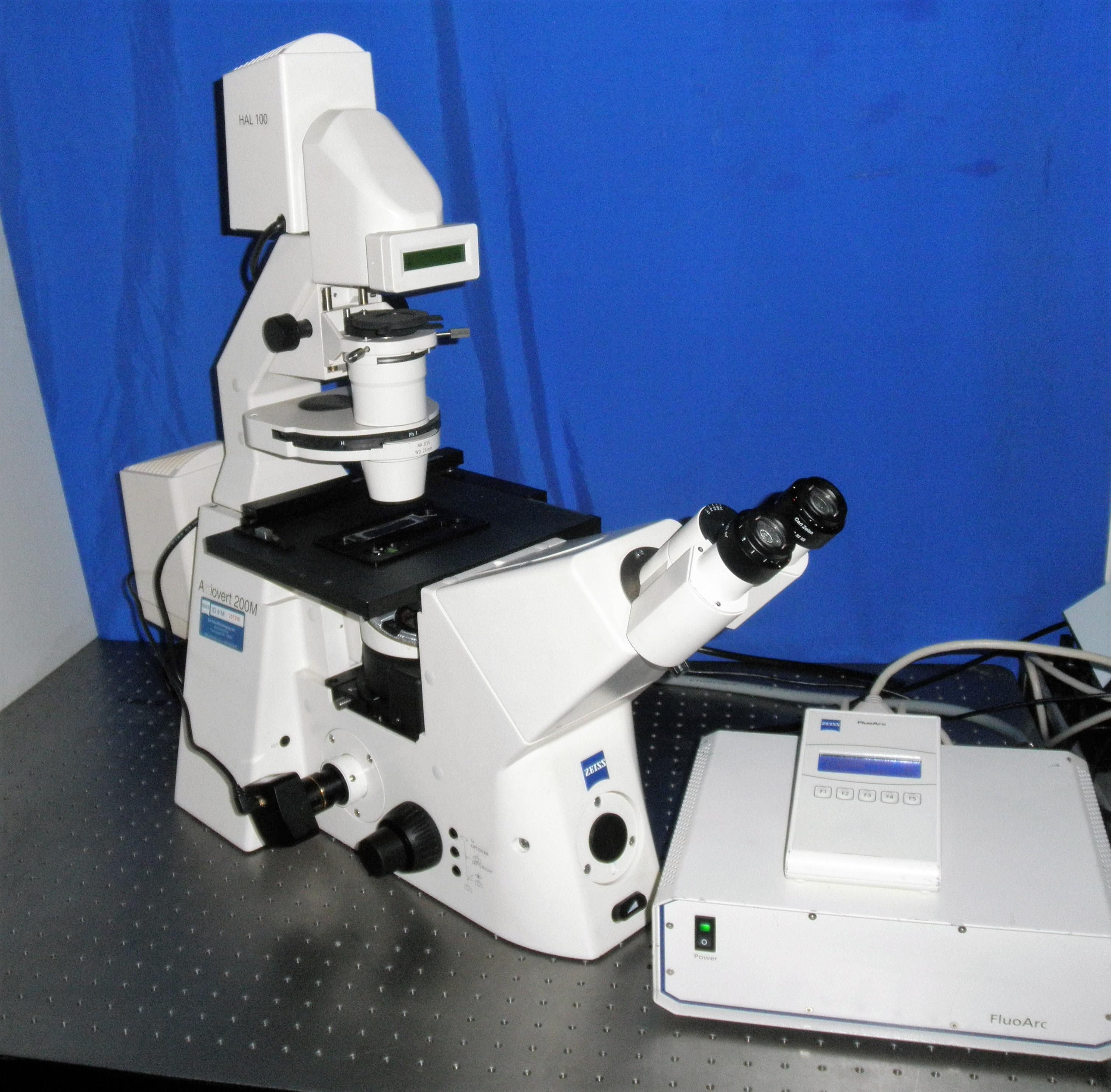 Zeiss AXIOVERT 200 M 18MP Inverted DIC Fluorescence Phase Contrast Microscope