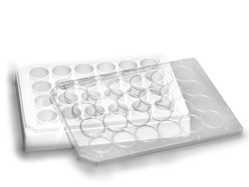 Microplates from Berthold Technologies