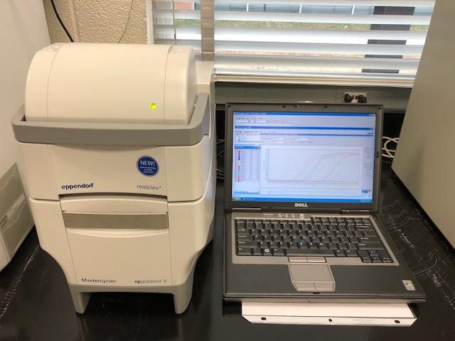 Eppendorf RealPlex2 96 well Silver Block 2 Color Real-time PCR system-New Performance Service!