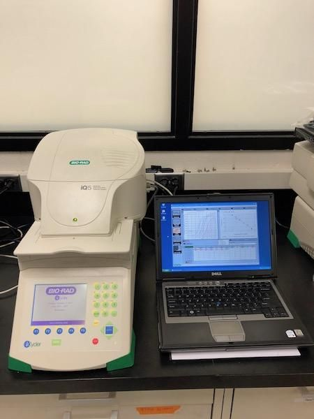 Bio-Rad IQ5 96 well 5 channel Real-time PCR Complete system-New Performance Service!