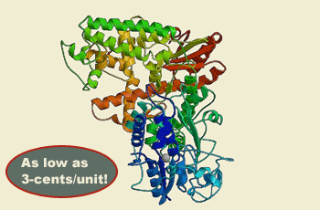 BioReady rTaq DNA Polymerase