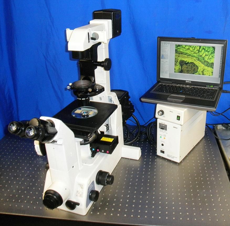 Nikon TE 300 Inverted Fluorescence Phase Contrast Microscope