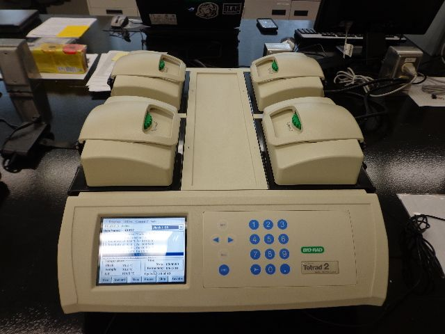 BIO-RAD TETRAD-2 GRADIENT PCR THERMAL CYCLER- Year 2011