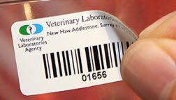 CILS Ultra Durable and Removable Labels