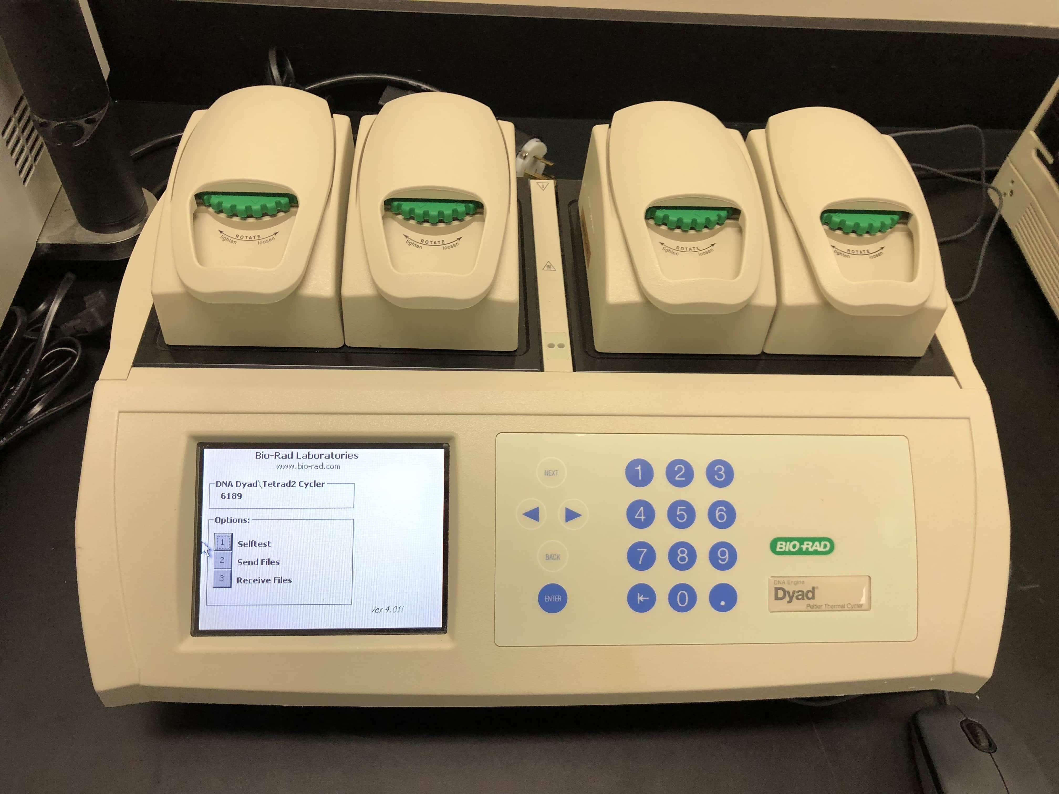 BIO-RAD DYAD DUAL Gradient 48x48 Well Block PCR Thermal Cycler-Temp Probe Tested