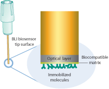 Octet® BLI Biosensors and Kits