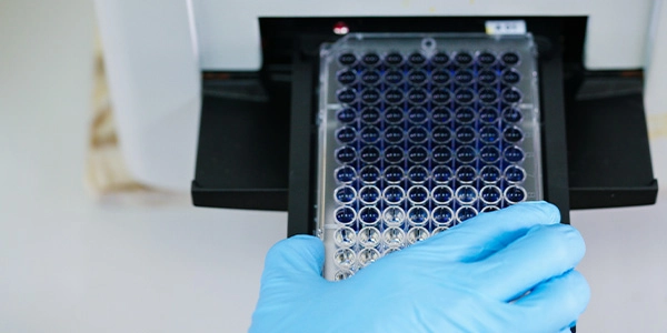 The Ultimate Guide to Microplate Reader Solutions