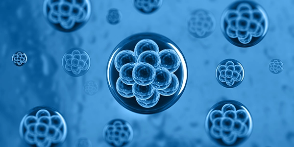 A Novel Approach to Capture Large, Variable Cells Using the Invitrogen Bigfoot Spectral Cell Sorter