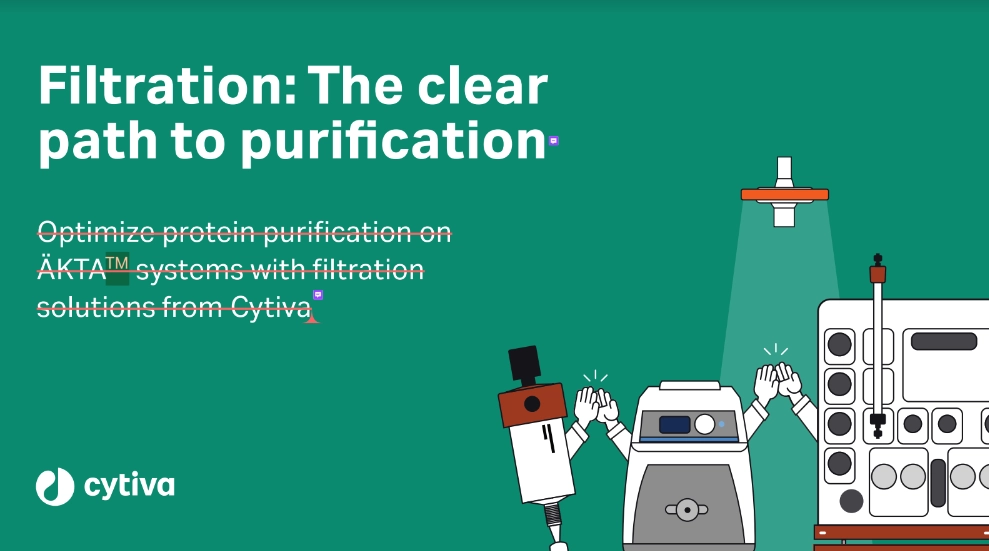 Filtration: The Clear Path to Purification