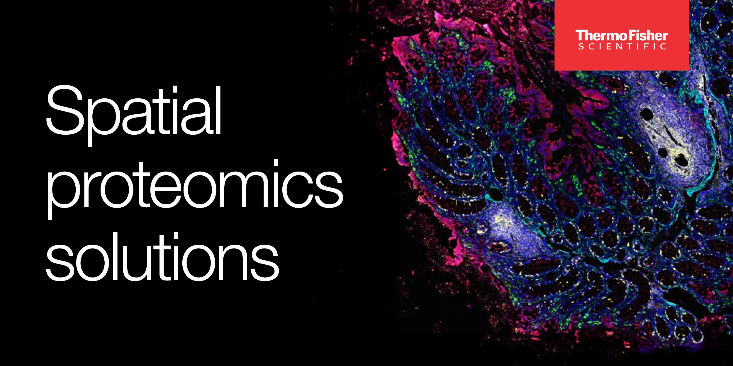 Enabling Solutions for Spatial Imaging Workflows