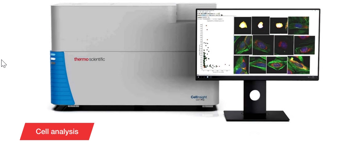 Reveal Hidden Details of CRISPR P53 Knockout Cells Using an Adapted Cell Painting Assay