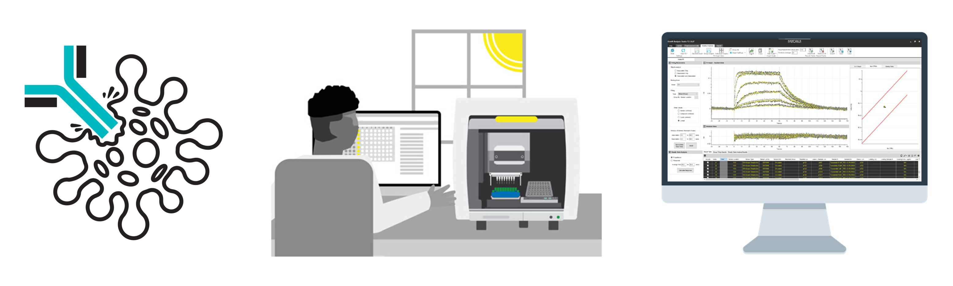 Accelerate Antibody Discovery with Label-Free Biolayer Interferometry (BLI)