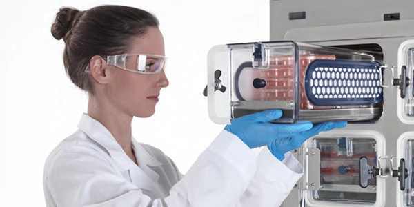 Advance Your Cell Culture Reliability: A Technical Guide to Tomorrow’s Challenges