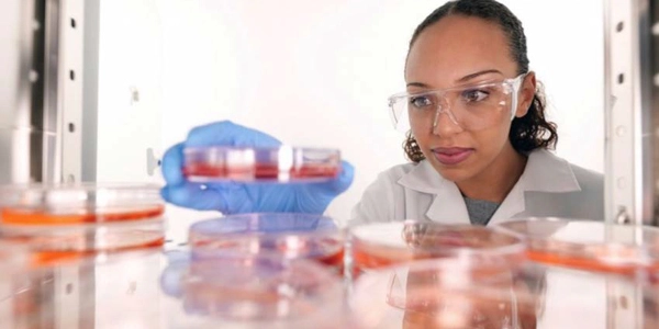 Five Ways Vios iDx CO₂ Incubators Help Your Cell Cultures Excel