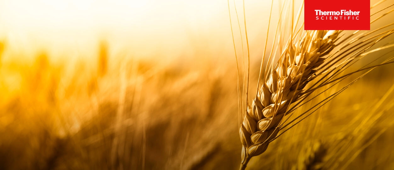 Advance Your Food Innovation Pipeline with the Guide to Skilled Food Extrusion