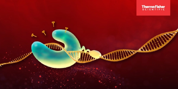 Amplifying Innovation: The Ultimate qPCR User’s Guide