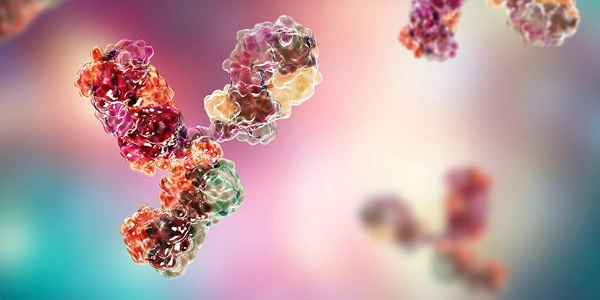 Evaluating the Performance of Reversed-phase C18 Columns for Peptide Mapping of Monoclonal Antibodies