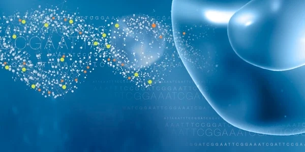 Sanger Sequencing and Fragment Analysis applications