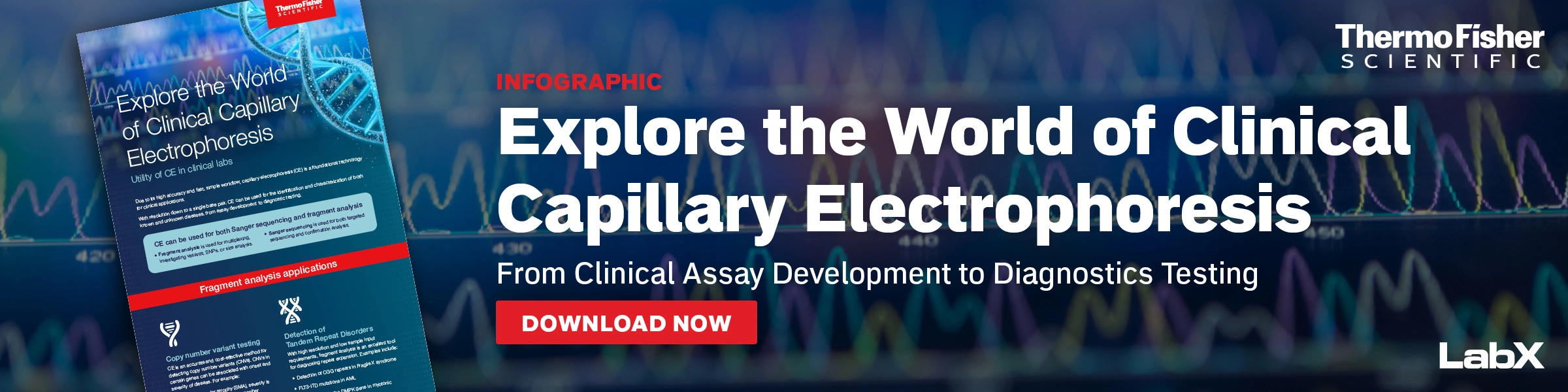Clinical Capillary Electrophoresis Infographic