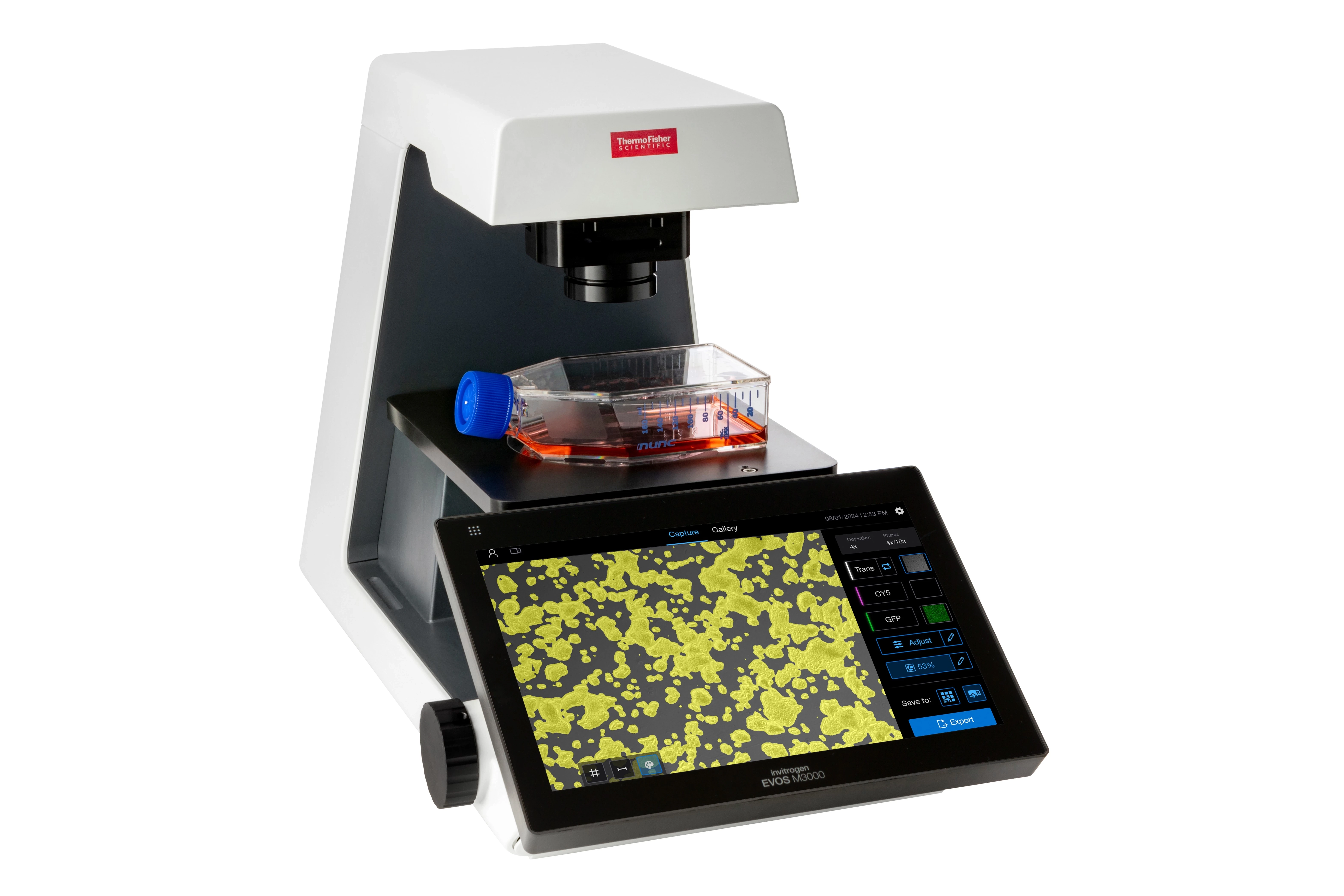 Thermo Fisher Protein & Cell Analysis