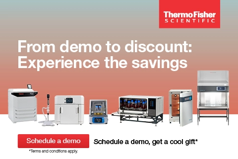 Experiment with savings