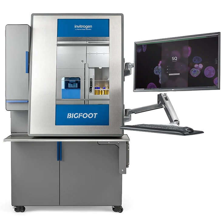 Thermo Fisher Protein & Cell Analysis