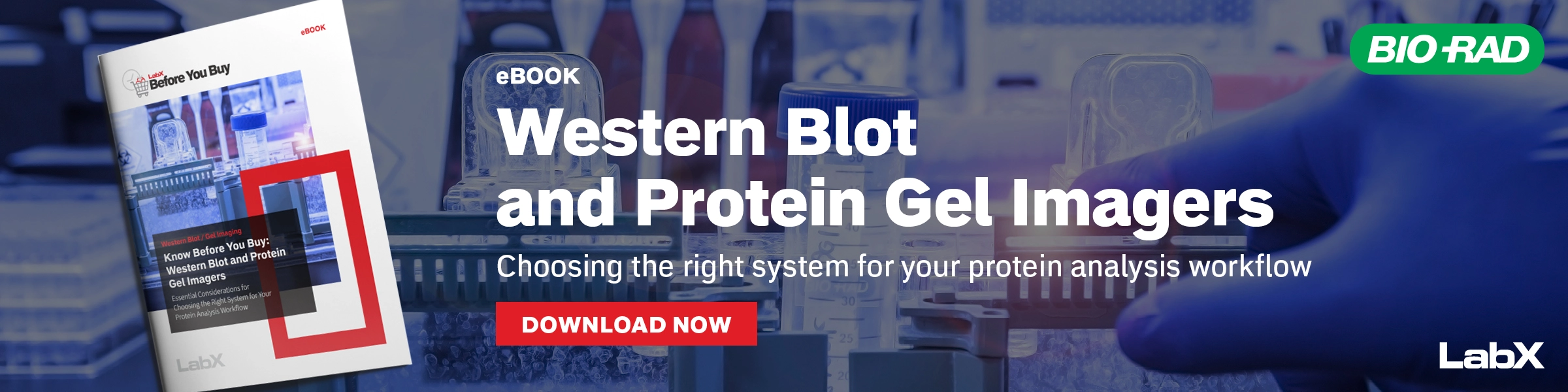 Protein Analysis eBook