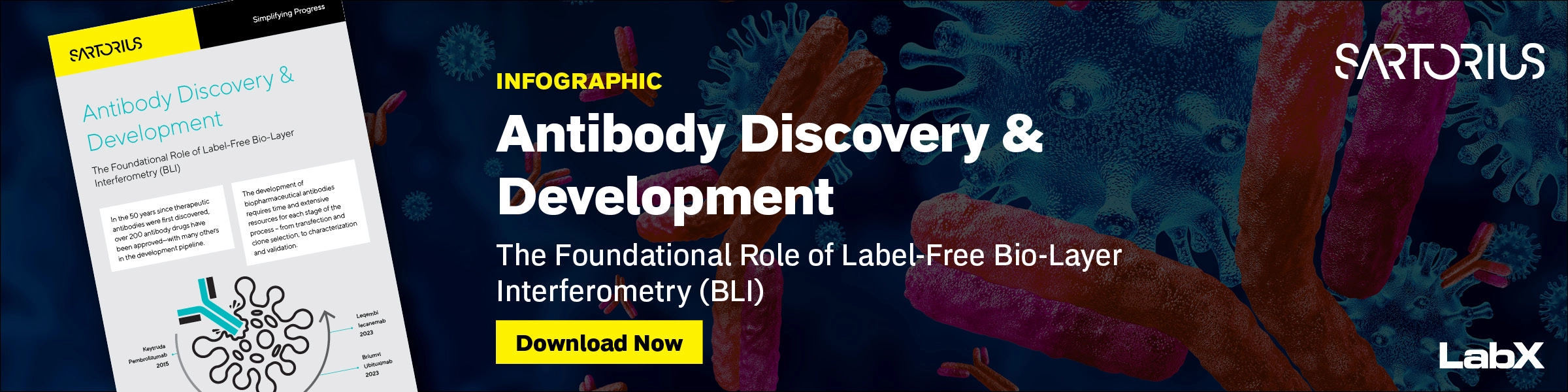Sartorius BLI Antibodies Infographic