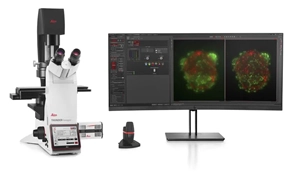 Written by Damon Anderson PhD