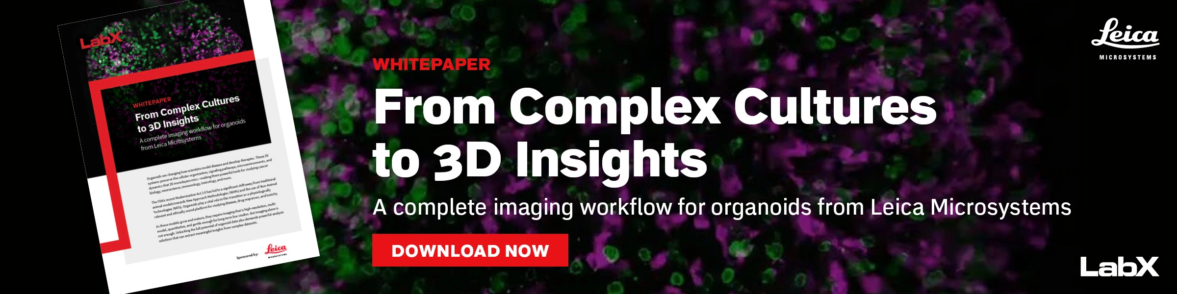 Leica 3D Imaging Article