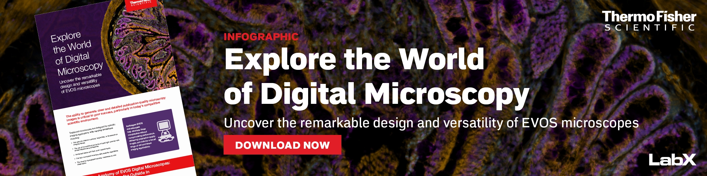 Thermo Evos Digital Microscopy