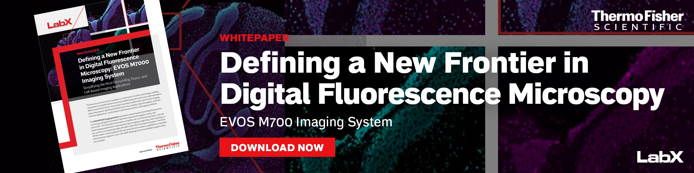 Thermo Evos Microscopes Image