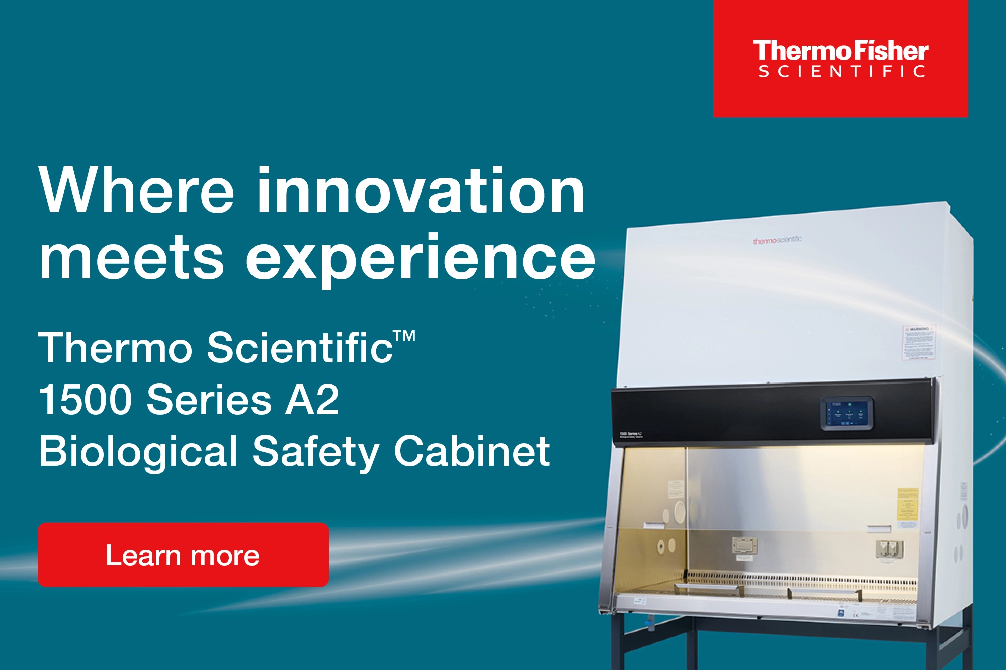 Where Innovation Meets Experience