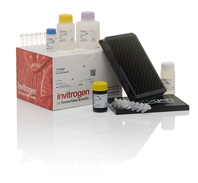 Thermo Fisher Protein & Cell Analysis